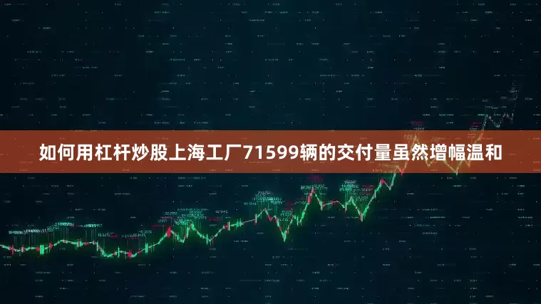 如何用杠杆炒股上海工厂71599辆的交付量虽然增幅温和