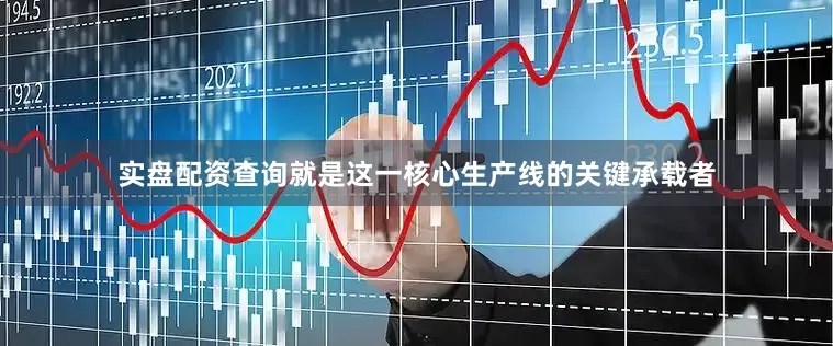实盘配资查询就是这一核心生产线的关键承载者