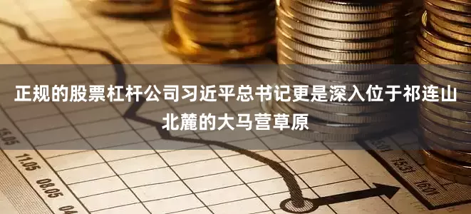 正规的股票杠杆公司习近平总书记更是深入位于祁连山北麓的大马营草原