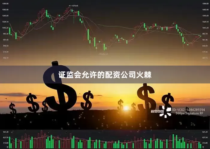 证监会允许的配资公司火棘